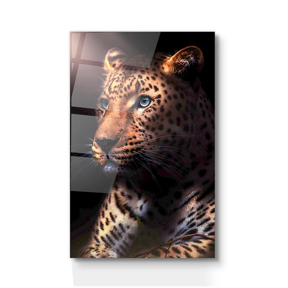 JAGUAR'S GAZE