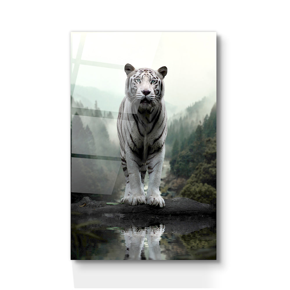 WHITE TIGER'S REFLECTION