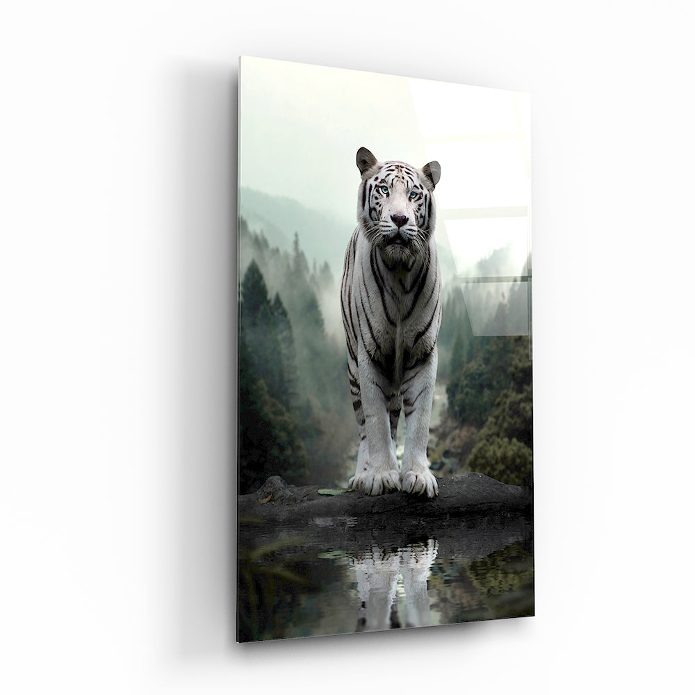 WHITE TIGER'S REFLECTION