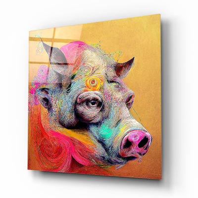 Colourful Pig